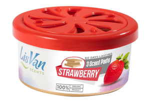 LISVAN STRAWBERRY TINS - CAJA DE 18