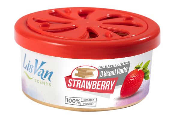LISVAN STRAWBERRY TINS - CAJA DE 18
