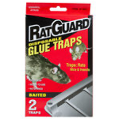 RatGuard 2 Pack Disposable Glue Traps in PDQ Display - CAJA DE 12