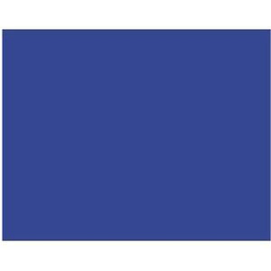 BAZIC 22" X 28" Dark Blue Poster Board -CAJA 25