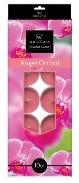 10CT TEALIGHT CANDLE ANGEL ORCHID - CAJA 12