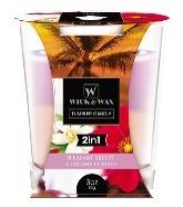 3oz 2IN1 PLEASANTBREEZE&CREAMYECSTASY - CAJA 12