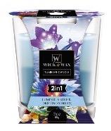 3oz 2 IN1 LUMINOUSSTEP&DRIFTINGSTREAM - CAJA 12