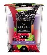 3oz 2IN1 SUNNY BERRIES & RASPBERRY - CAJA 12