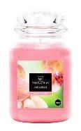 18oz JAR CANDLE ANGEL ORCHID - CAJA 6
